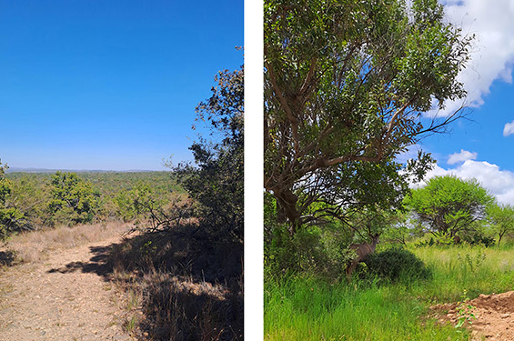 Wander Further with Scenic Hiking Trails at Monomotapa Village